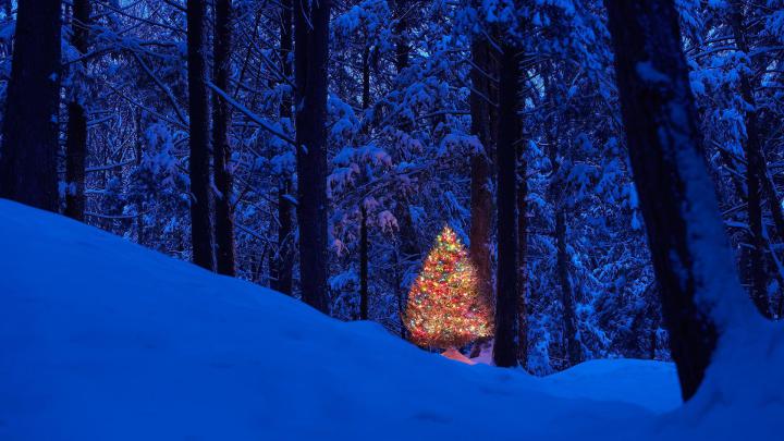 Christmas HD Widescreen Wallpaper 1920x1080 -