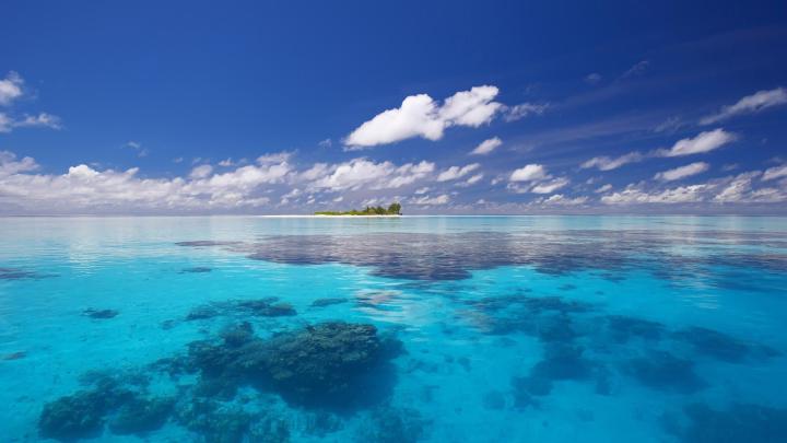 [40+] Nexus Desktop Wallpaper 1920x1080 Nature 