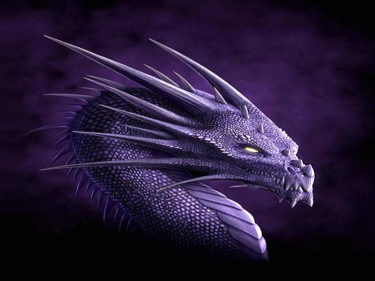 Purple Dragon Wallpapers - Top Free Purple Dragon Backgrounds 