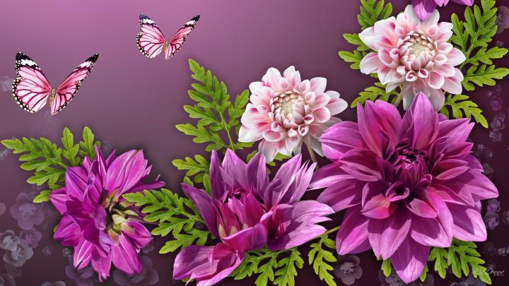 Jasmine Flower Wallpapers (54+ background pictures)
