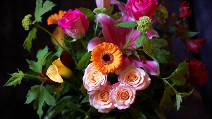 Download Wallpaper 1920x1080 flowers, flower, black background Full HD 