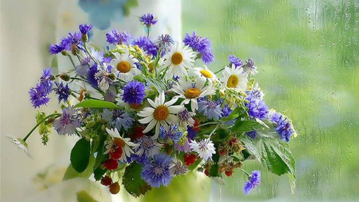 Download Wallpaper 1920x1080 flowers, bouquets, vase Full HD 1080p HD 