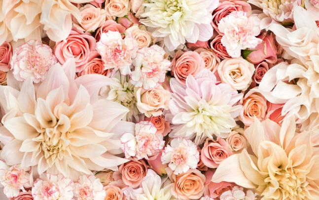 Flowers Laptop Wallpapers - Top Free Flowers Laptop Backgrounds 