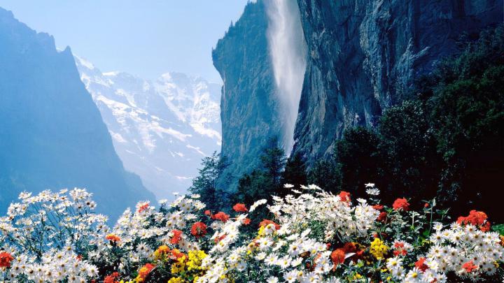 Flower Mountain Wallpapers - Top Free Flower Mountain Backgrounds 