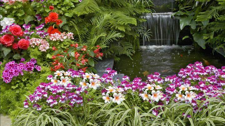 [42+] 1920X1080 HD Garden Wallpaper 