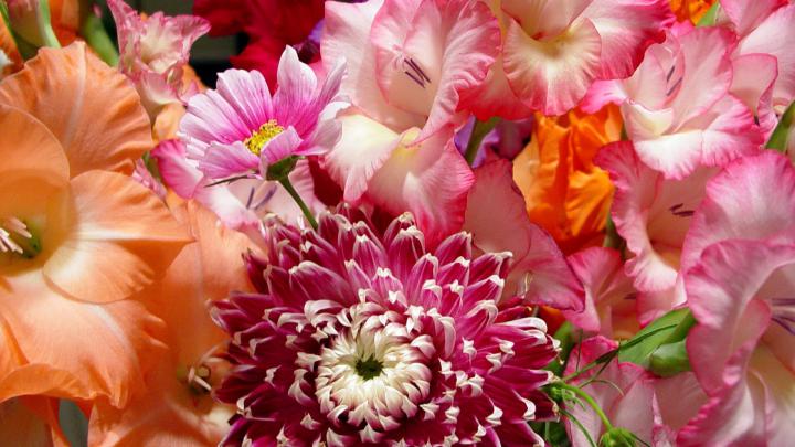 Download Wallpaper 1920x1080 flowers, bouquet, bright, vase, blurring 