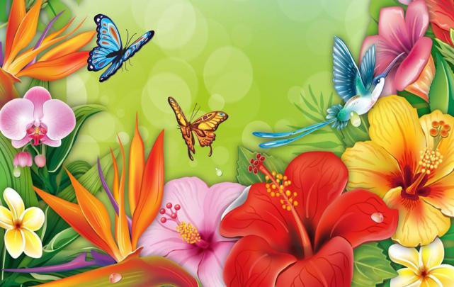 Spring Butterfly Wallpapers - Top Free Spring Butterfly Backgrounds 