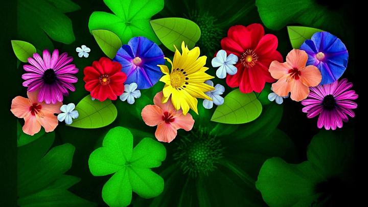 1920X1080 HD Flower Wallpapers - Top Free 1920X1080 HD Flower 
