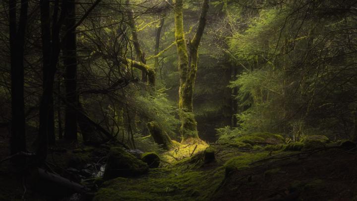 Pin by nedym24 on 1080p wallpaper | Hd nature wallpapers, Nature 