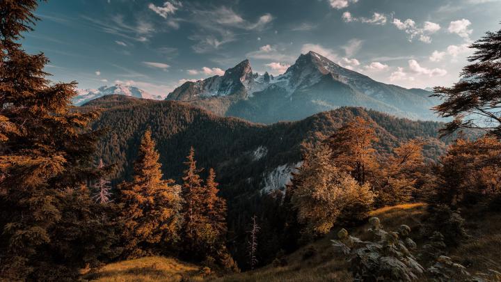 1920x1080 Forest Mountains Laptop Full HD 1080P HD 4k Wallpapers 