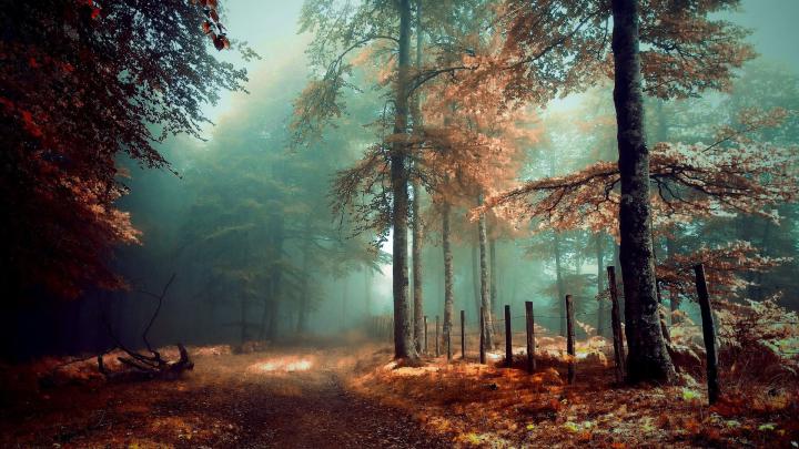 Mystical Wallpapers for Desktop 1920x1080 (60+ images)