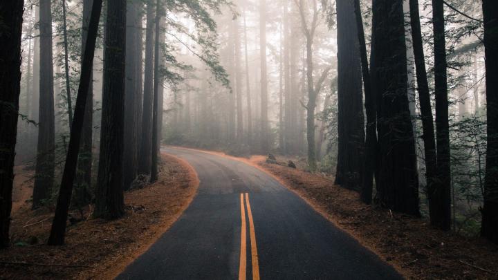 1920x1080 Forest Wallpapers - Top Free 1920x1080 Forest Backgrounds 