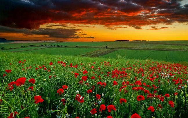 Free download Wallpapers HD Pictures One HD Wallpaper Pictures 