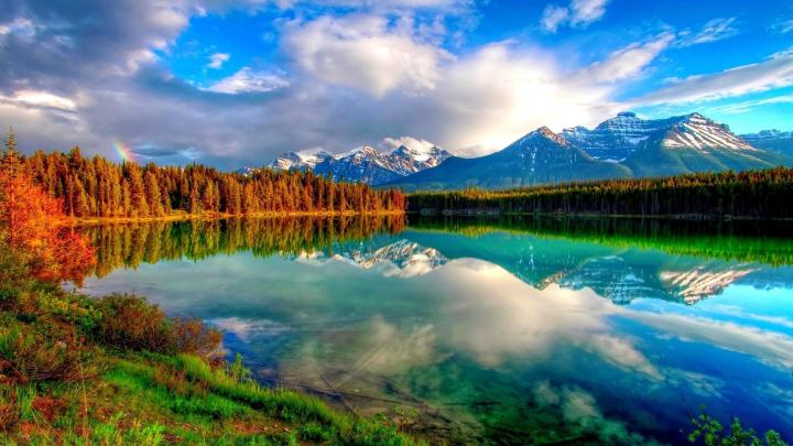 Tranquil Open Paradise - High Definition, High Resolution HD Wallpapers 