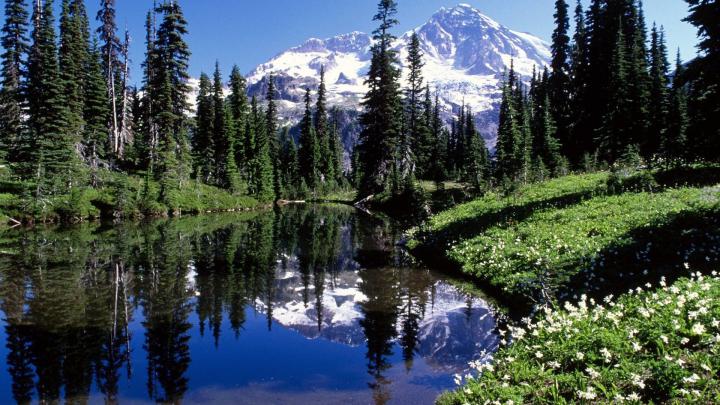 Mt Rainier Wallpaper Desktop (39+ images)