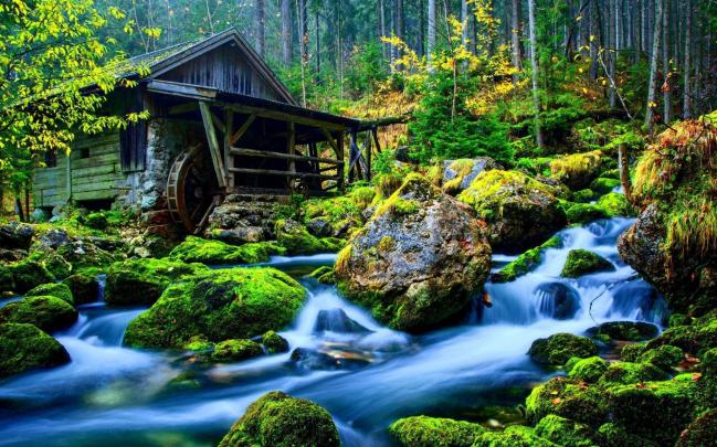 Free download Nature HD Wallpapers Large HD Wallpapers [1920x1197] for 