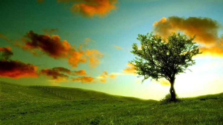 Late Summer Wallpaper for Desktop (65+ images)
