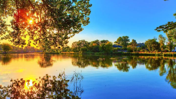 Download Wallpaper 1920x1080 nature, river, light, trees Full HD 1080p 