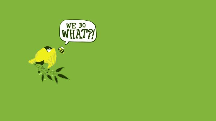 Funny HD Wallpapers 1920x1080