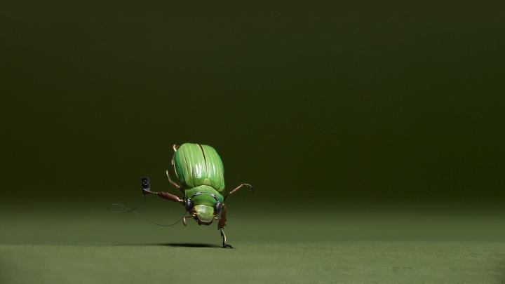 [41+] Funny Wallpapers 1920x1080 