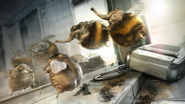 Funny 1920x1080 HD Wallpapers (59+ images)