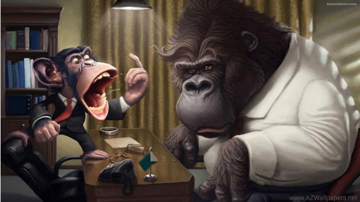 Funny 1920x1080 HD Wallpapers (59+ images)