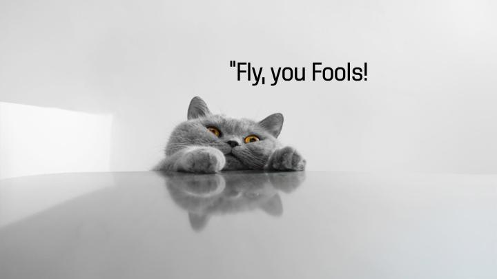 1920x1080 HD Meme Wallpaper (75+ images)