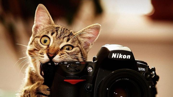 Funny HD Wallpapers 1920x1080 (51+ images)