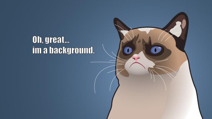 1920x1080 HD Meme Wallpaper -