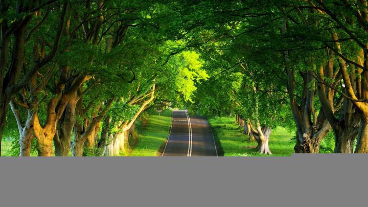 Best Nature HD Wallpapers (69+ images)