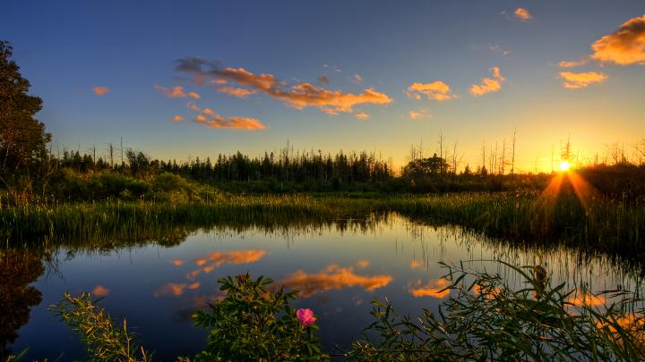 Nature s HD wallpaper | 1920x1080 | #39272