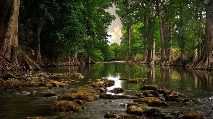 1366x768 River hd Wallpaper | Landscape wallpaper, Nature wallpaper 