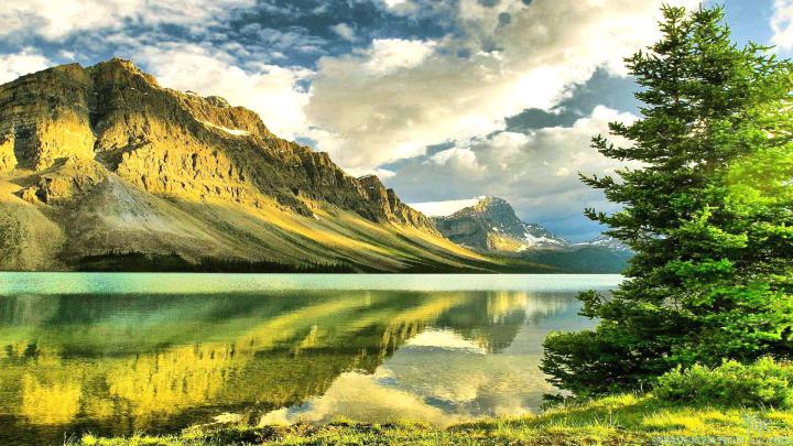 Amazing High Resolution Images wallpaper | 1920x1080 | #26668