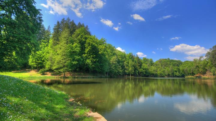 Free download Incredible Nature Full HDTV Wallpapers 1920x1080 41 