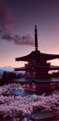 Japan Wallpaper 4K (67+ images)