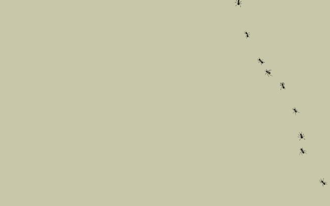 Simple Desktop Wallpaper (79+ images)
