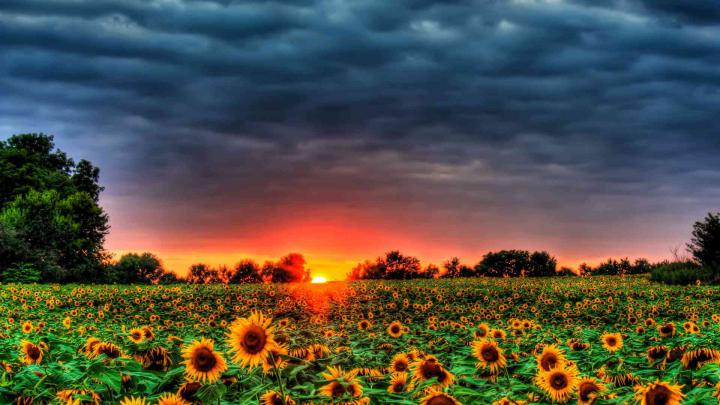 Summer Laptop Wallpapers - Top Free Summer Laptop Backgrounds 