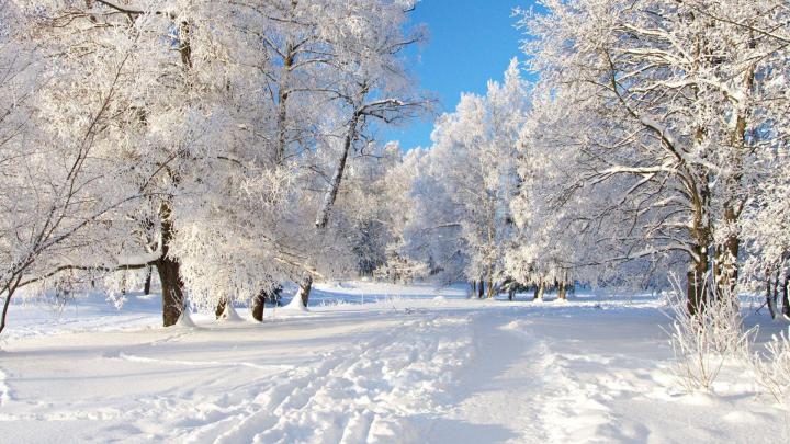 Snow Winter Wallpapers (68+ background pictures)