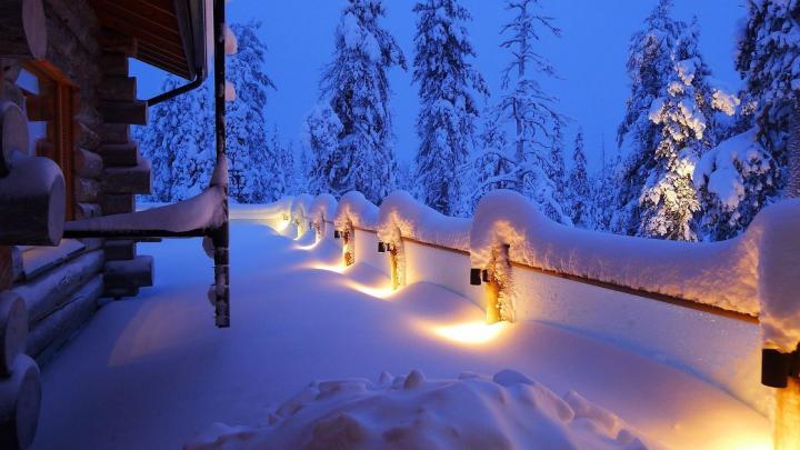 Download Wallpaper 1920x1080 winter, snow, trees, frost, branch 