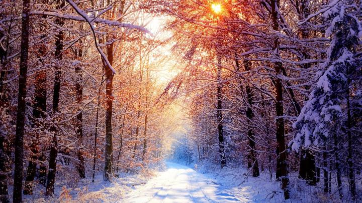 1080p Winter Wallpaper (65+ images)