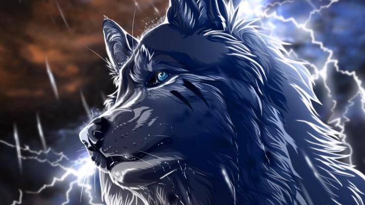 Anime Wallpaper 1920x1080 (73+ images)