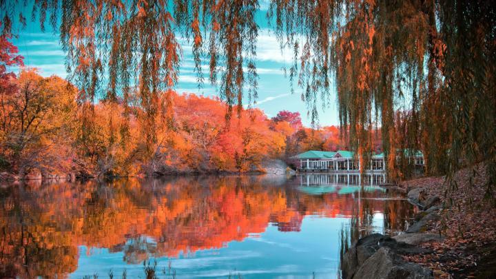Autumn HD Wallpapers 1080p (76+ images)
