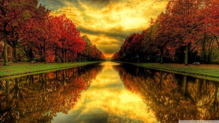 3D Fall Wallpapers