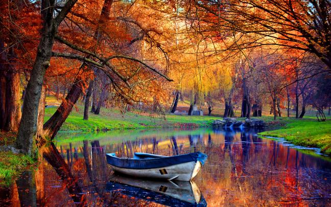 Autumn River HD Wallpaper