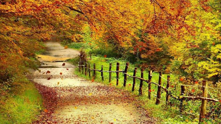 Beautiful Autumn HD Wallpapers 1920x1080 -
