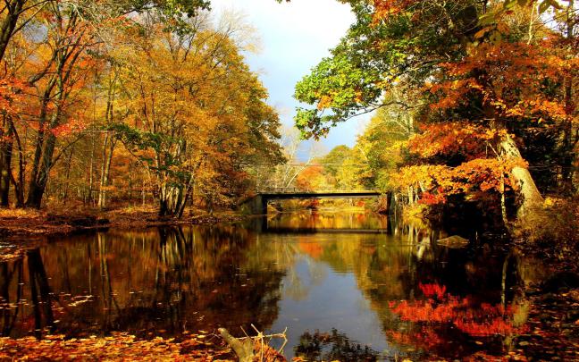 Fall Lake Pictures Wallpaper -