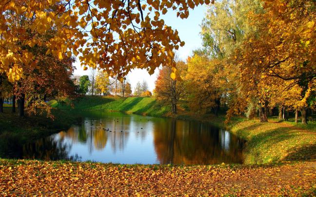 Wallpapers Autumn (68+ background pictures)