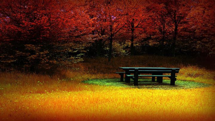 Autumn Wallpapers
