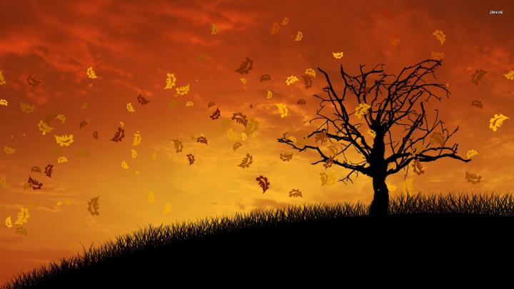 Free download 1920x1080 autumn desktop wallpaper1920x1080 autumn 