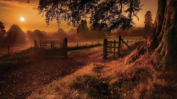 Autumn Wallpapers